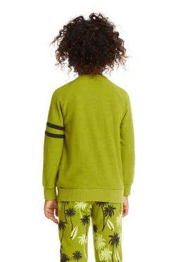 Kids/BOY Chaser Brand California Palm Trees Pullover