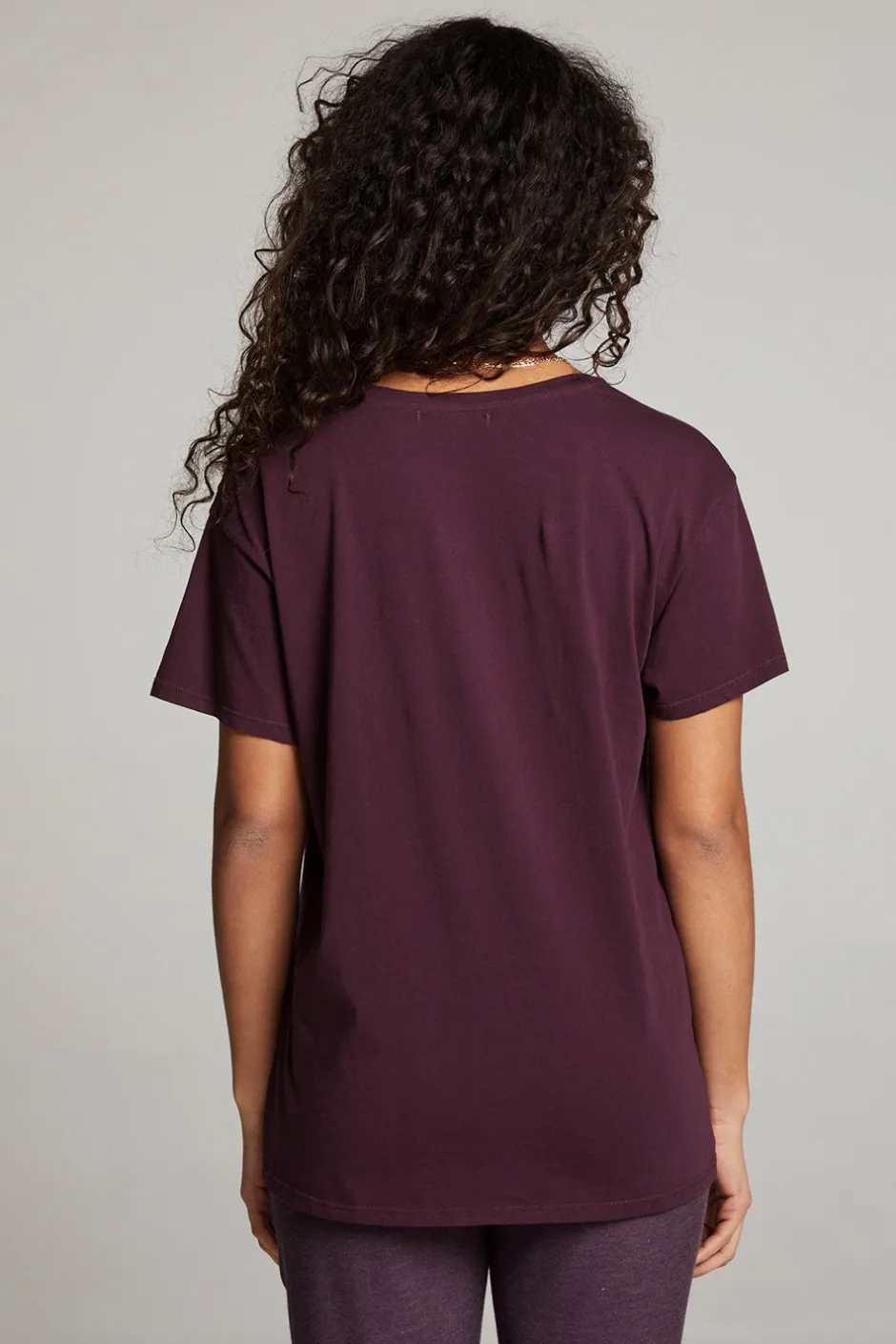 Women Chaser Brand Everyday Essential Plum Perfect V Neck Tee