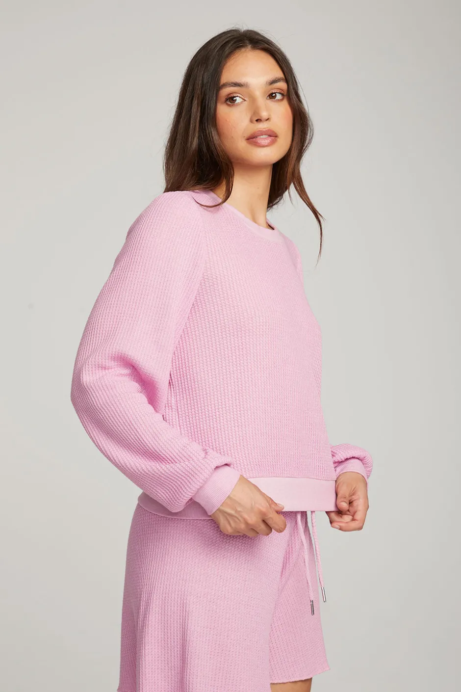 Women Chaser Brand Owlsey Pastel Lavender Pullover