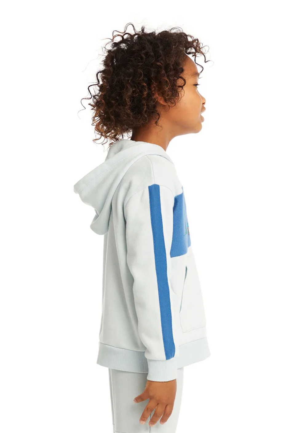 Kids/BOY Chaser Brand Surf Van Pullover Hoodie