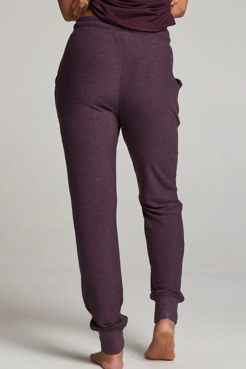 Women Chaser Brand Tessa Plum Perfect Jogger